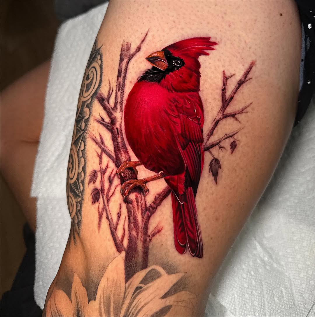 Flower, Animal, Nature