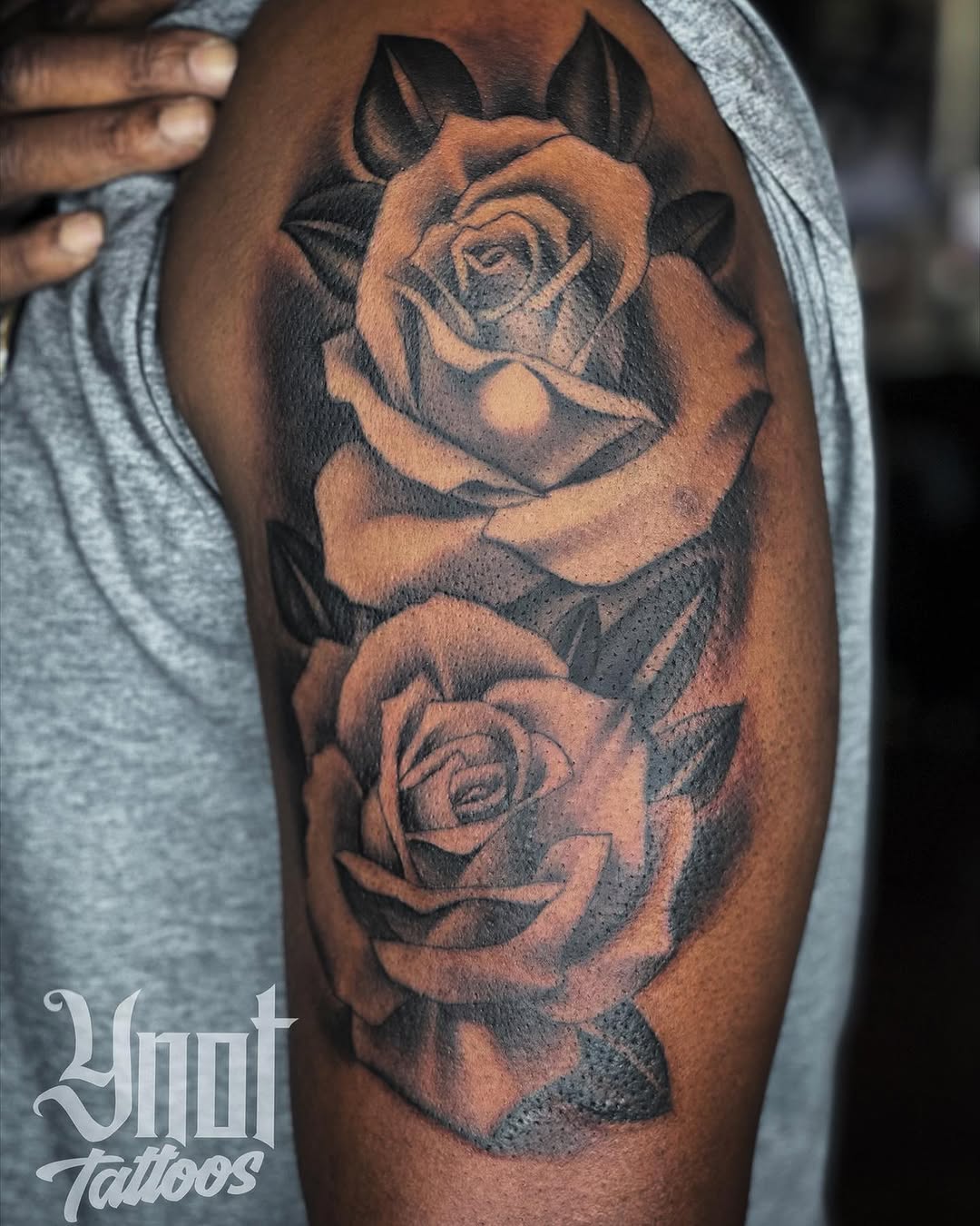 Flower, Rose, Nature