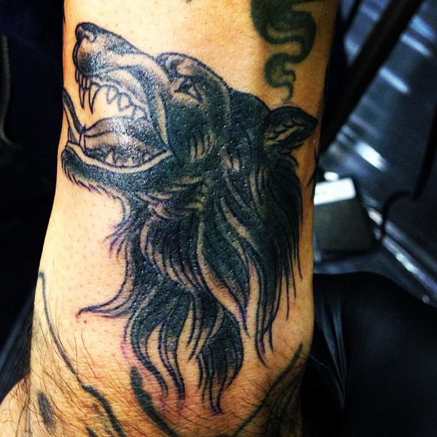 Tiger, Animal, 늑대인간