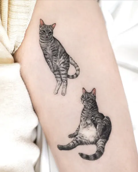 고양이