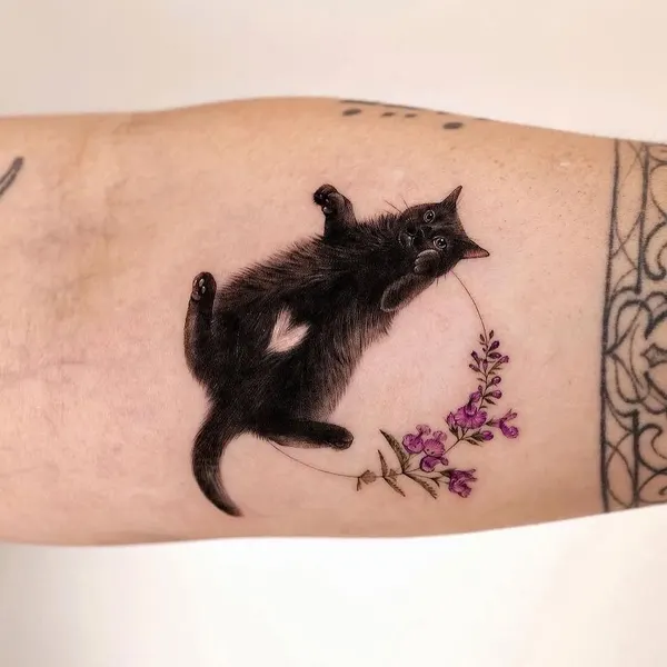 Animal