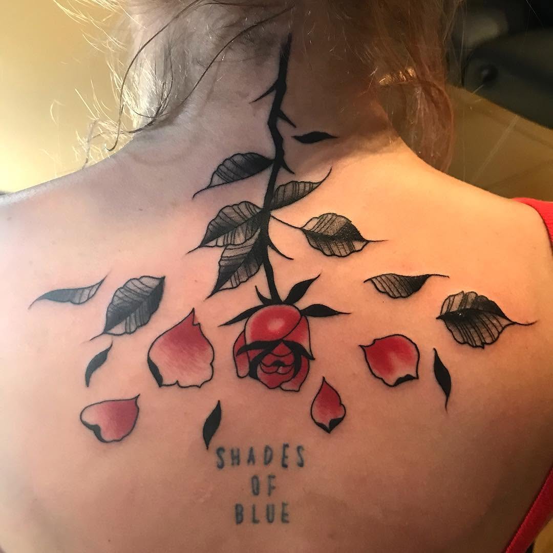 Flower, Rose, Nature