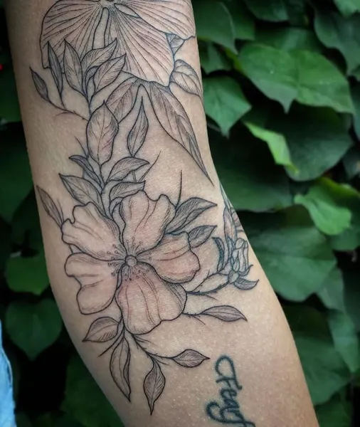 Flower, Rose