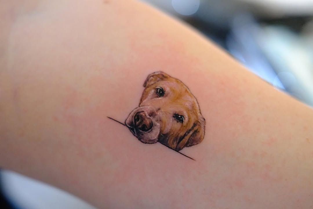 Animal, 강아지, 반려동물, 반려동물 추모, 충성