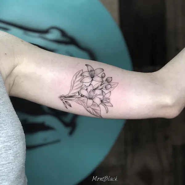 Flower, Rose
