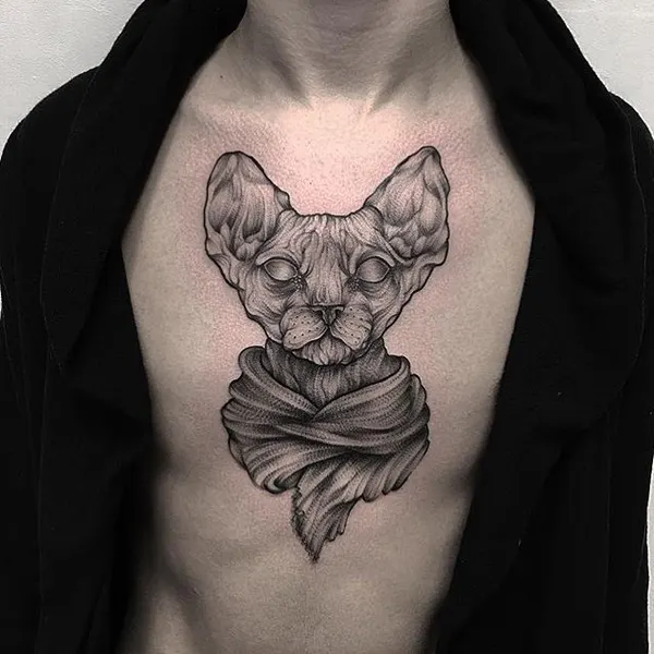 Animal