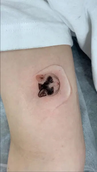 눈물