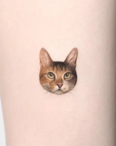 고양이