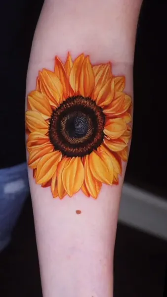 Flower, 국화, 데이지, 수선화, 해바라기