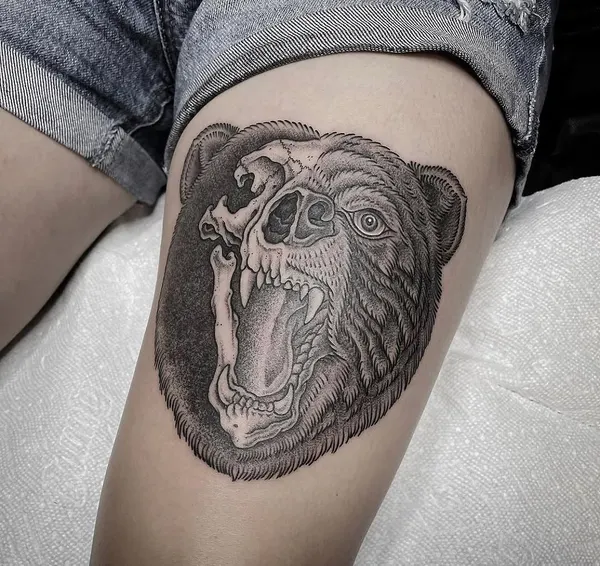 Animal, Tiger