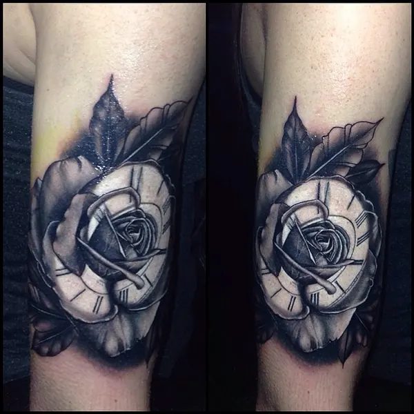 Flower, Rose