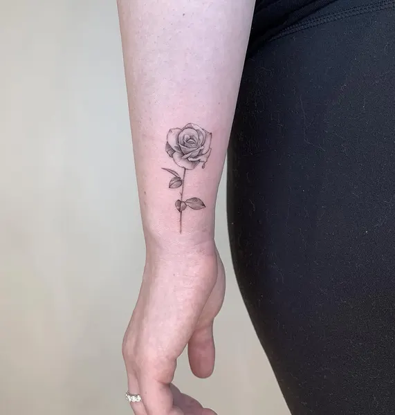 Flower, Rose