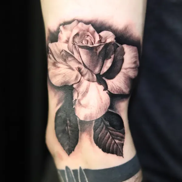 Flower, Rose