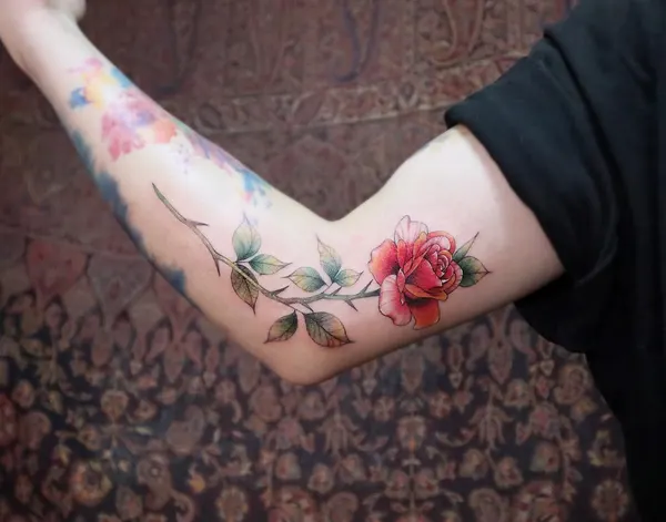 Flower, Rose