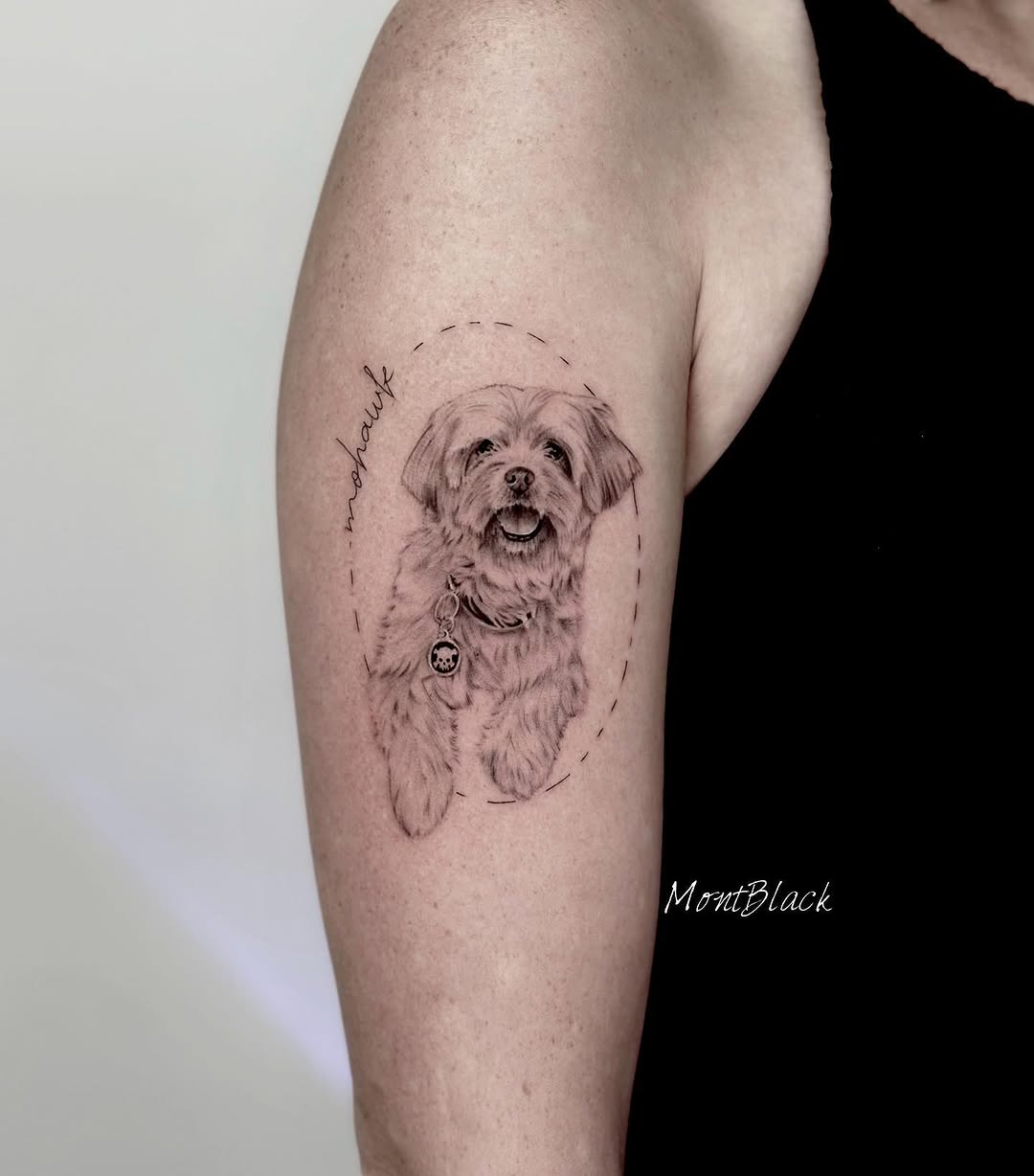 Animal