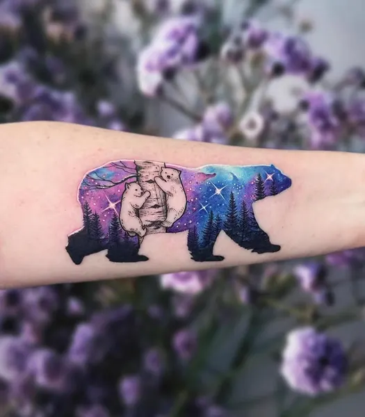 Animal, 곰