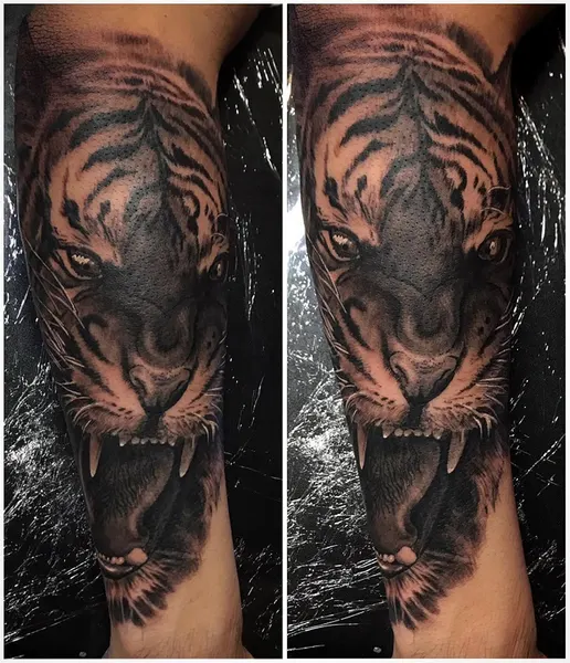 Tiger, 중국 호랑이