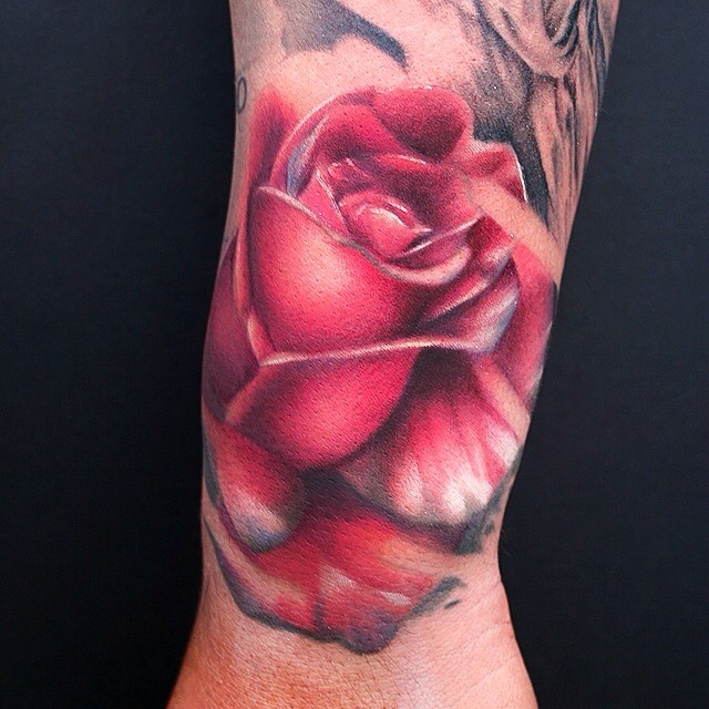 Flower, Rose
