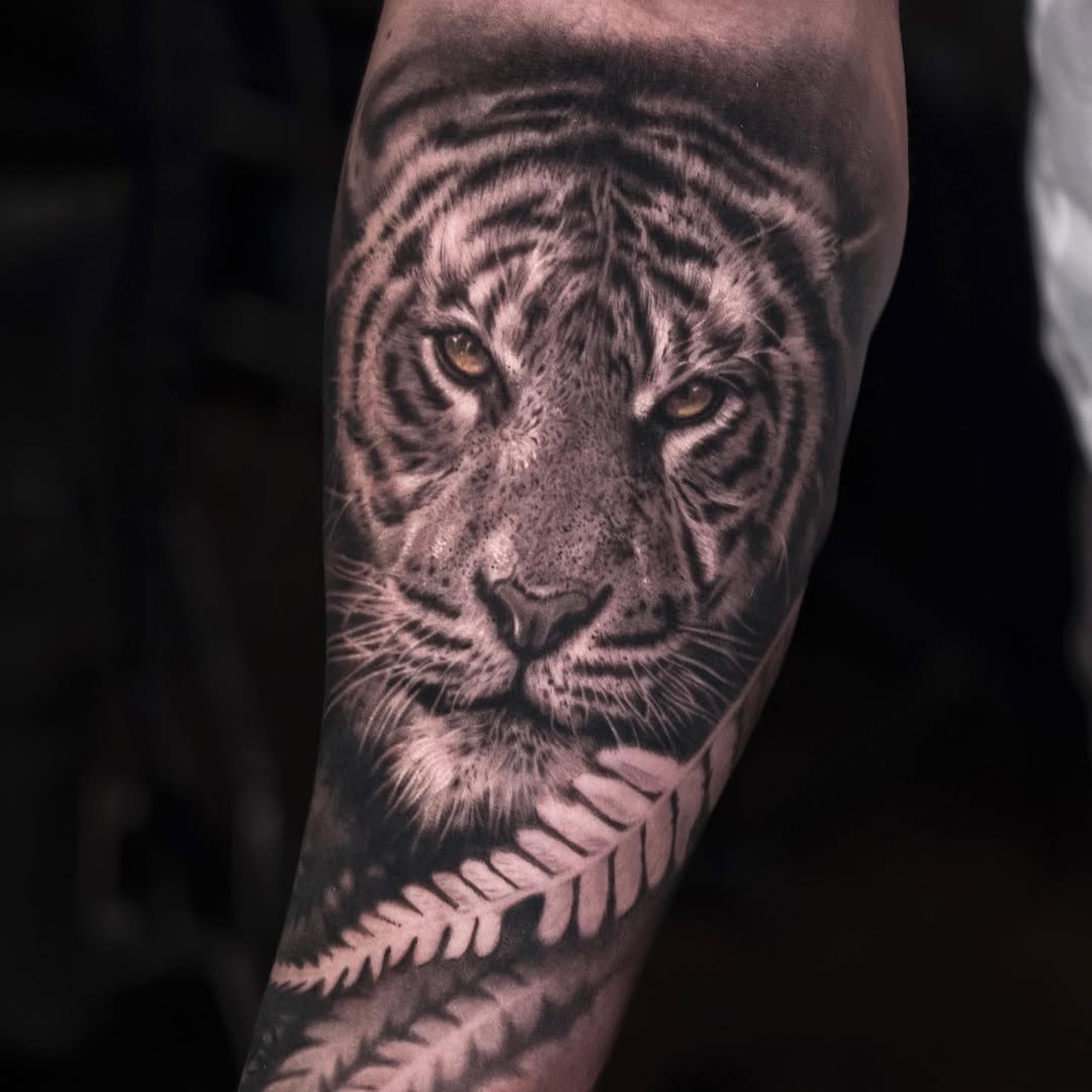 Tiger, 치타, 중국 호랑이, 한국 호랑이