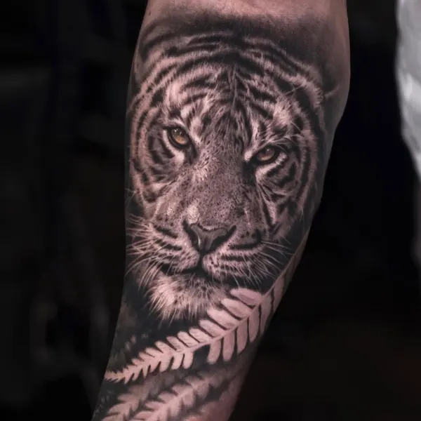 Tiger, 치타, 중국 호랑이, 한국 호랑이