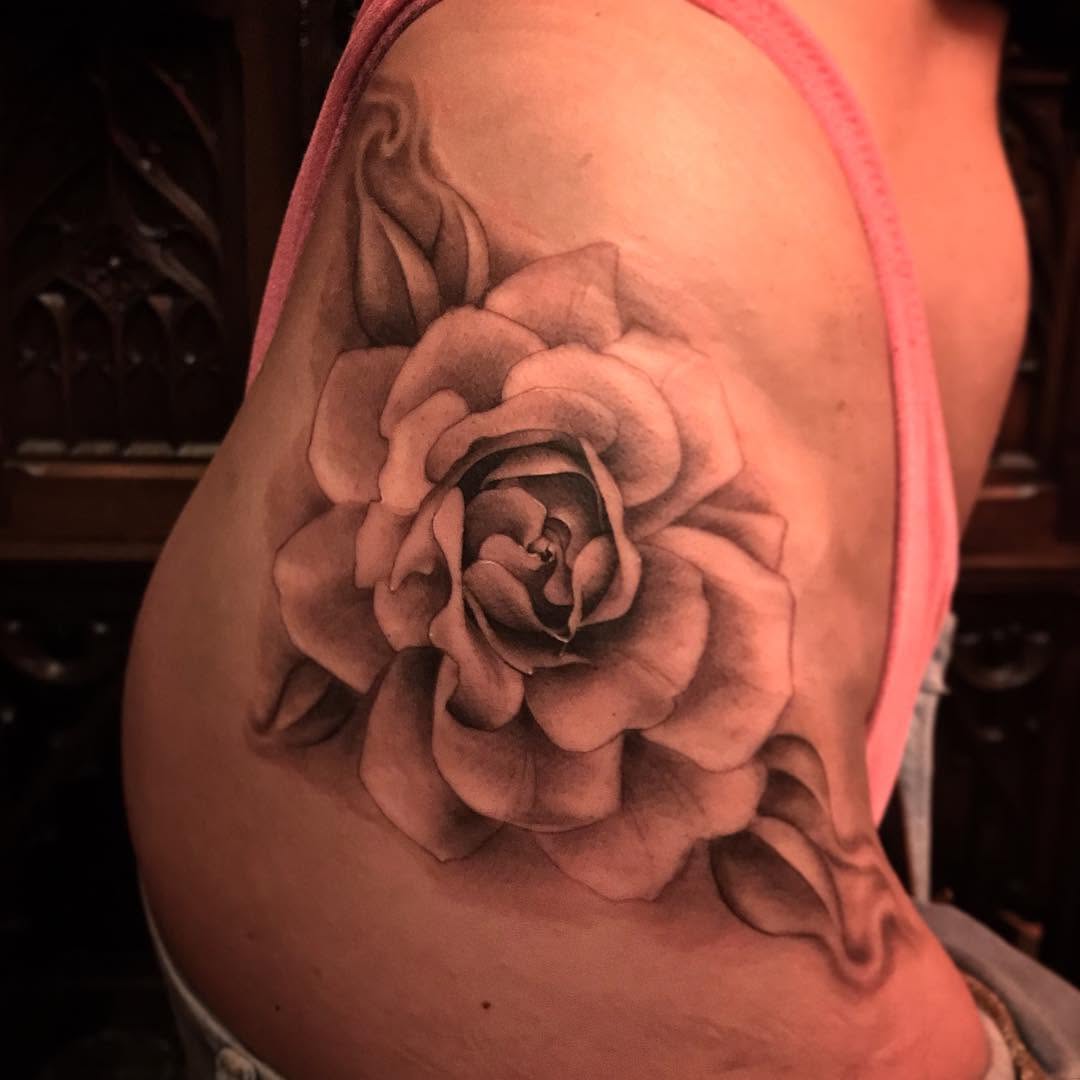 Flower, Rose, Nature