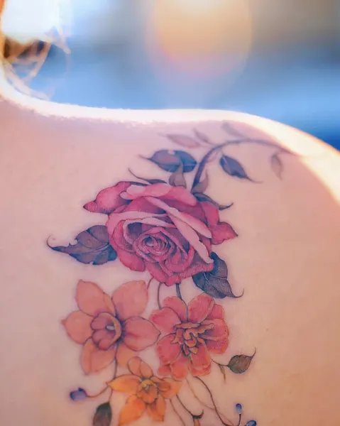 Flower, Rose, Nature