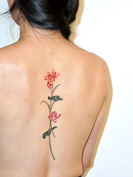 Flower, Nature