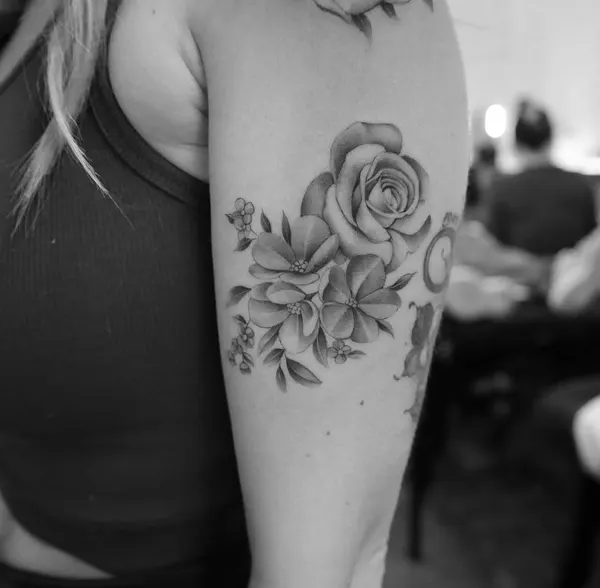 Flower, Rose, Nature