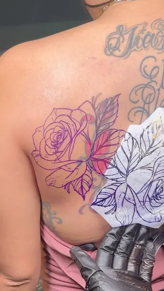 Flower, Rose, Nature