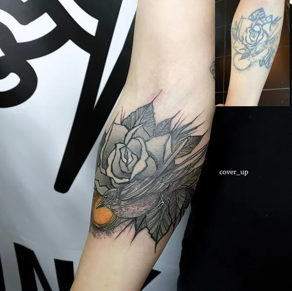 Flower, Rose