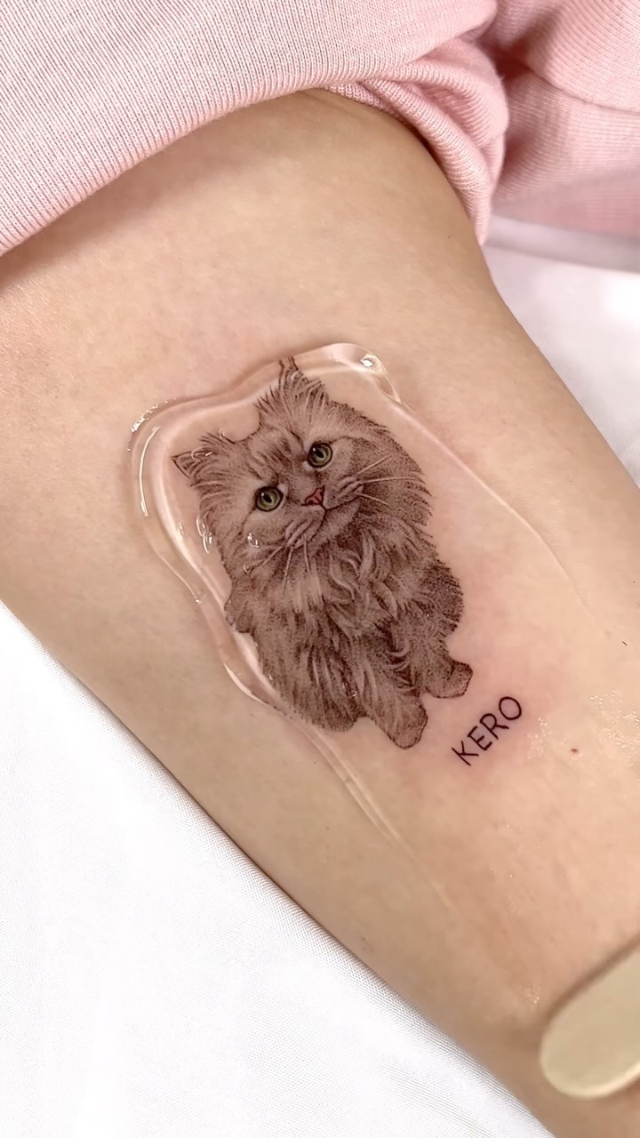 Animal, 고양이, 반려동물, 함사, 마네키네코