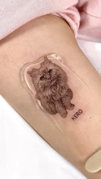 Animal, 고양이, 반려동물, 함사, 마네키네코