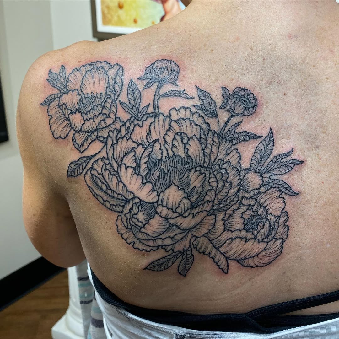 Flower, Nature, Rose