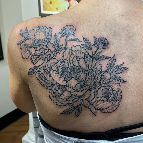 Flower, Nature, Rose