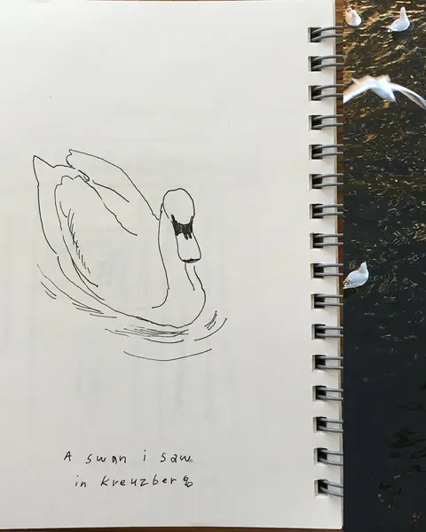 자전거, 오토바이, Lettering, 자동차