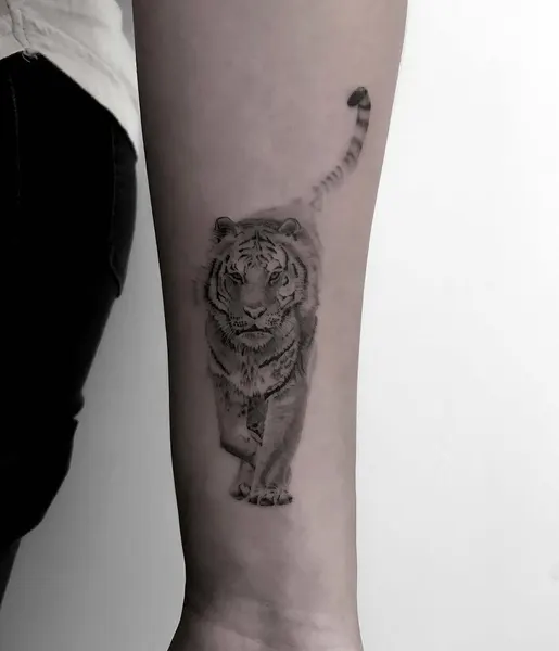 Tiger
