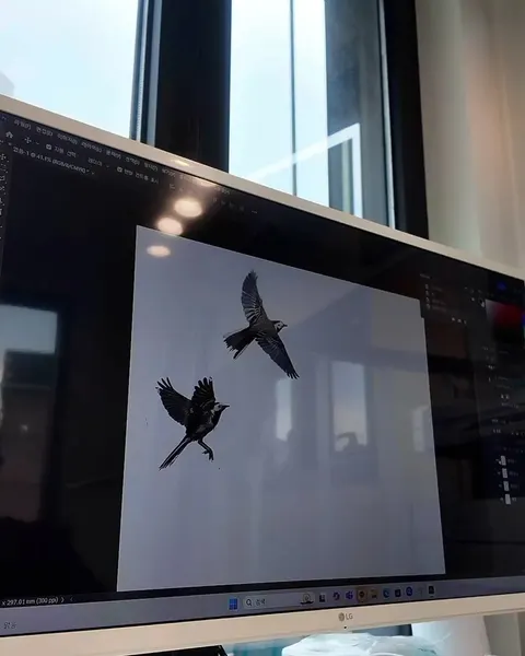 hami_shin