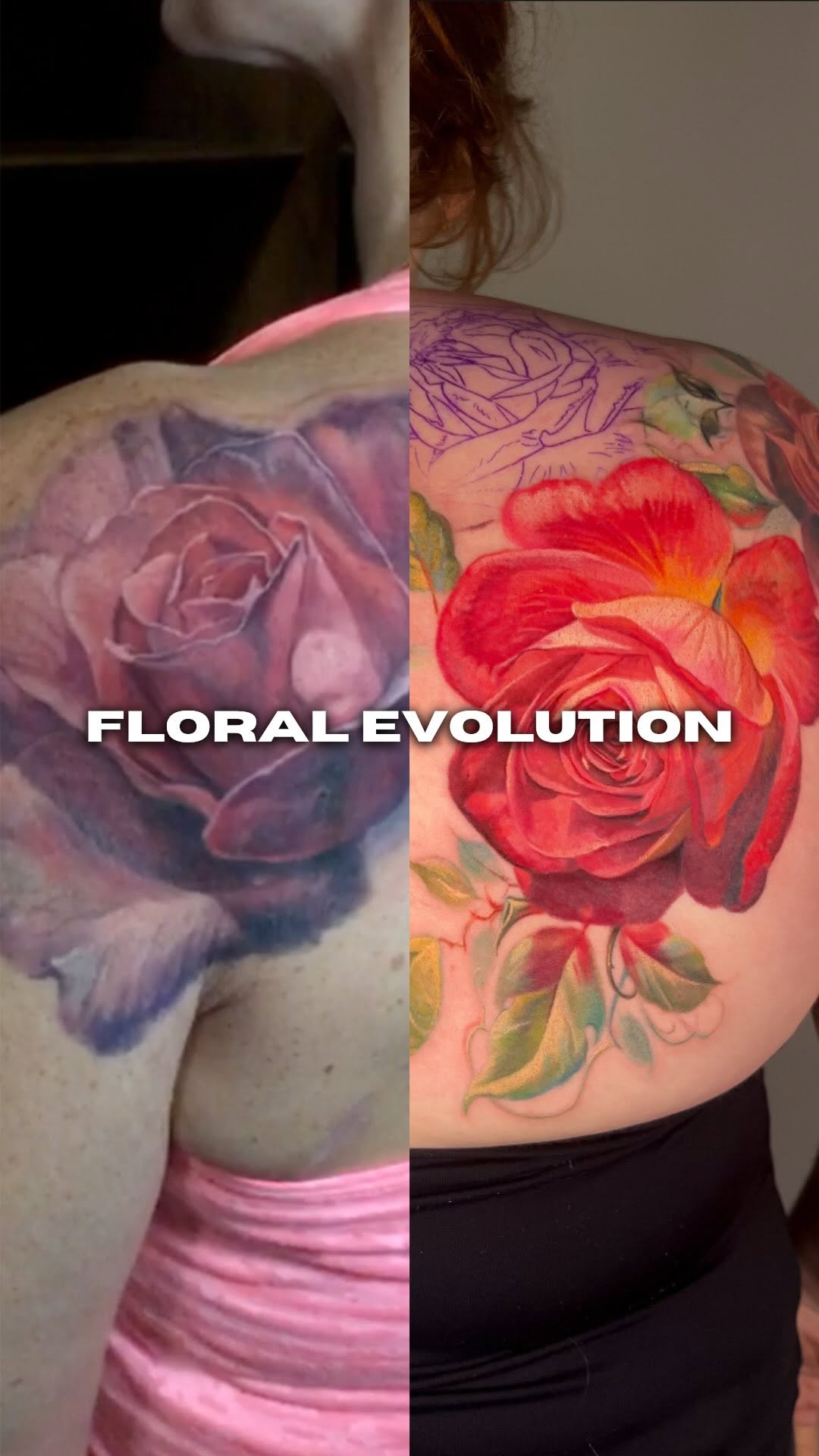 Flower, Rose, Nature