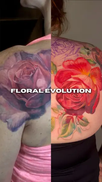 Flower, Rose, Nature