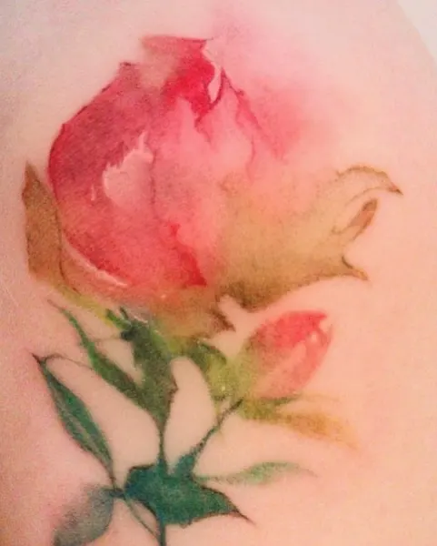 Flower, Rose, 튤립, 수묵화