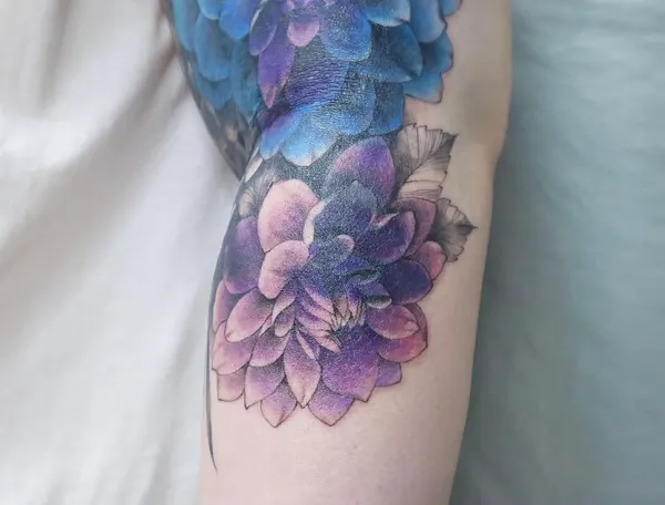 Flower, Rose, 수국