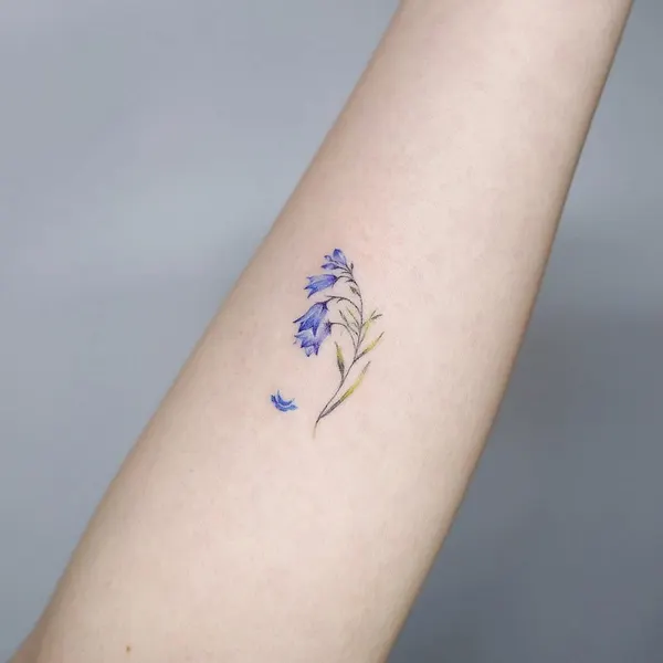 Flower, 라벤더