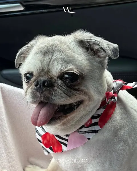 Mini, 점, 유령