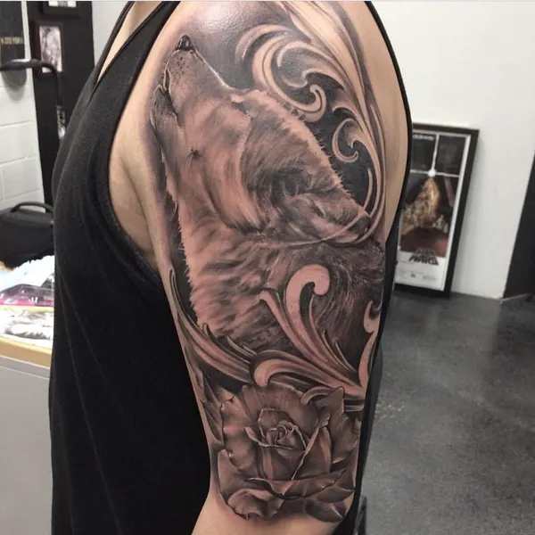 Animal