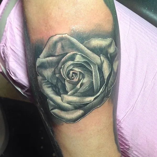 Flower, Rose