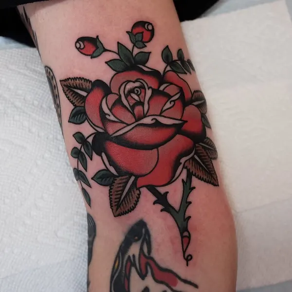 Flower, Rose