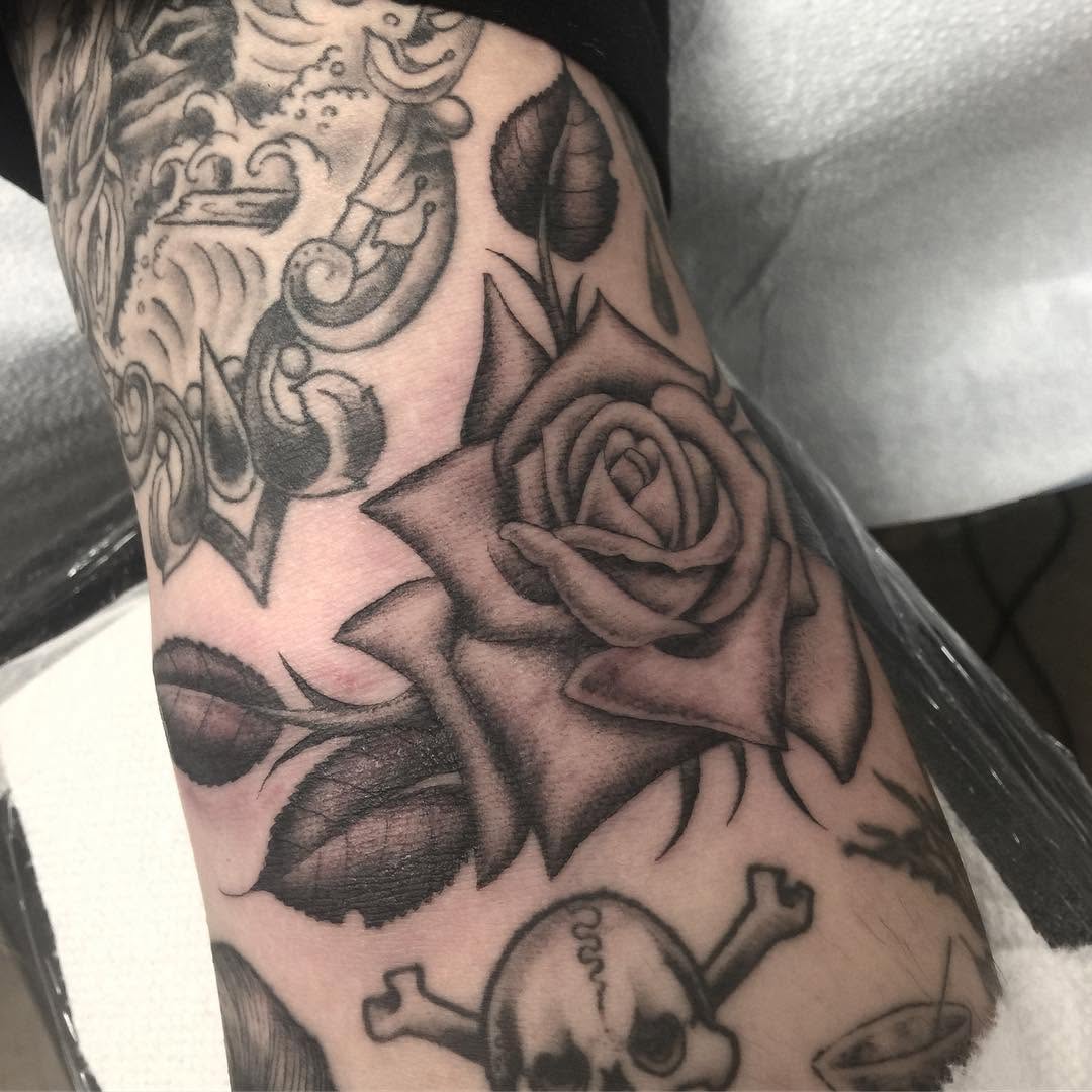 Flower, Rose