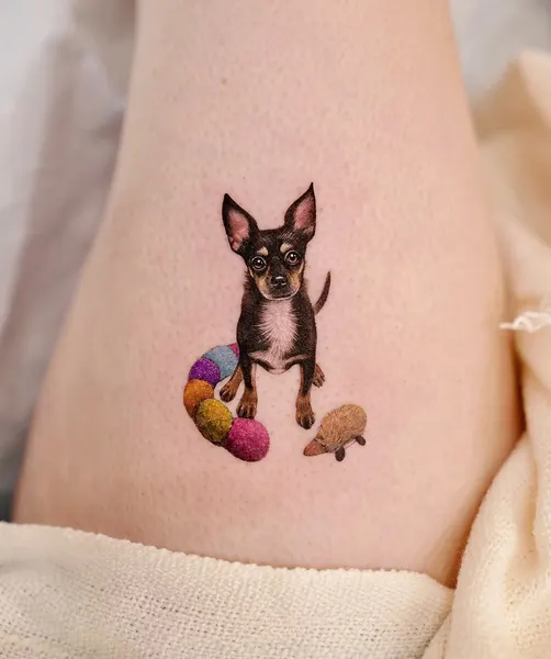반려동물, Mini