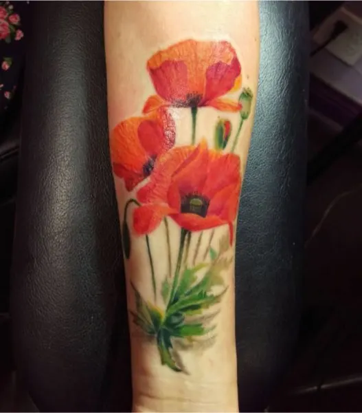Flower, Rose, 튤립, 꽃다발, 양귀비, 꽃 배경