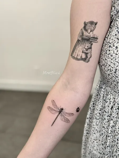 Nature, Animal, 잠자리, 리본, 참새